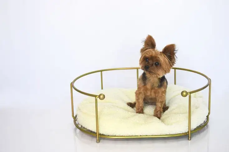 سرير حيوانات مصنوع من ستيل دهان الكتروستاتيك وقماش عالي الجودة MS-13231