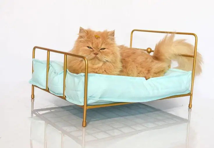 سرير حيوانات مصنوع من معدن دهان الكتروستاتيك وقماش عالي الجودة MS-13229