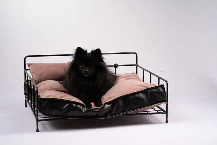 سرير حيوانات مصنوع من حديد دهان الكتروستاتيك وقماش عالي الجودة MS-13223