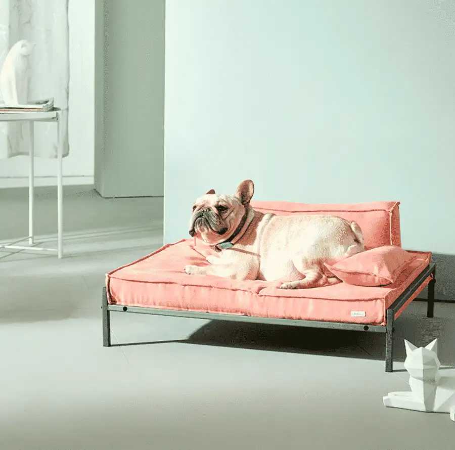 سرير حيوانات مصنوع من ستيل دهان الكتروستاتيك وقماش عالي الجودة MS-13222