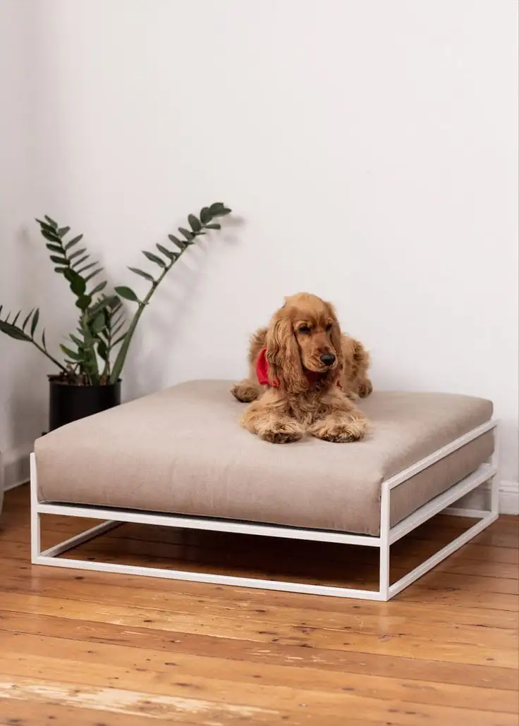 سرير حيوانات مصنوع من معدن دهان الكتروستاتيك وقماش عالي الجودة MS-13221