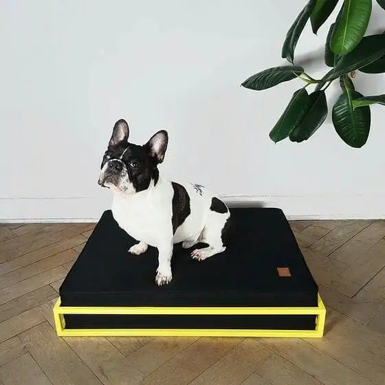 سرير حيوانات مصنوع من حديد دهان الكتروستاتيك وقماش عالي الجودة MS-13220