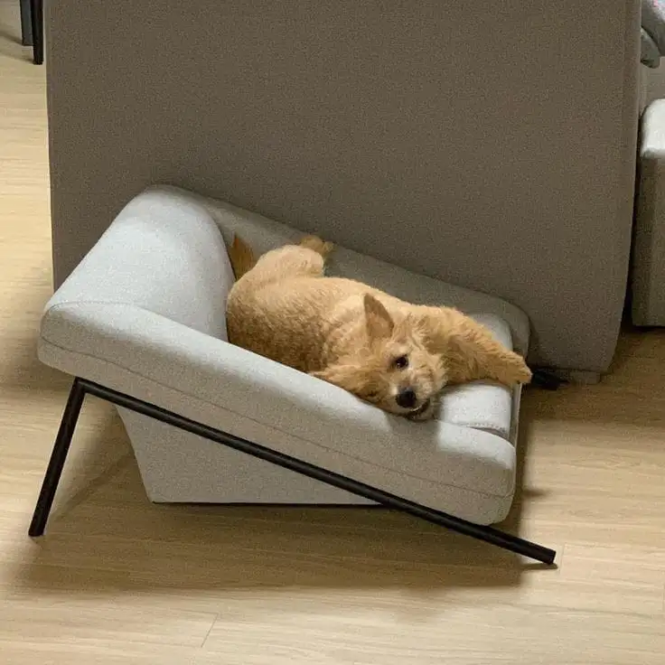 سرير حيوانات مصنوع من معدن دهان الكتروستاتيك وقماش عالي الجودة MS-13197