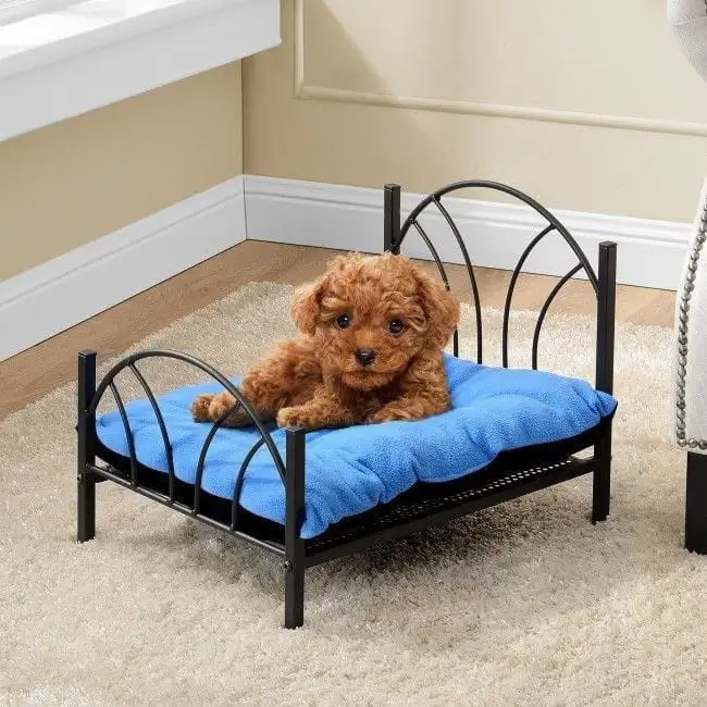 سرير حيوانات مصنوع من حديد دهان الكتروستاتيك وقماش عالي الجودة MS-13230