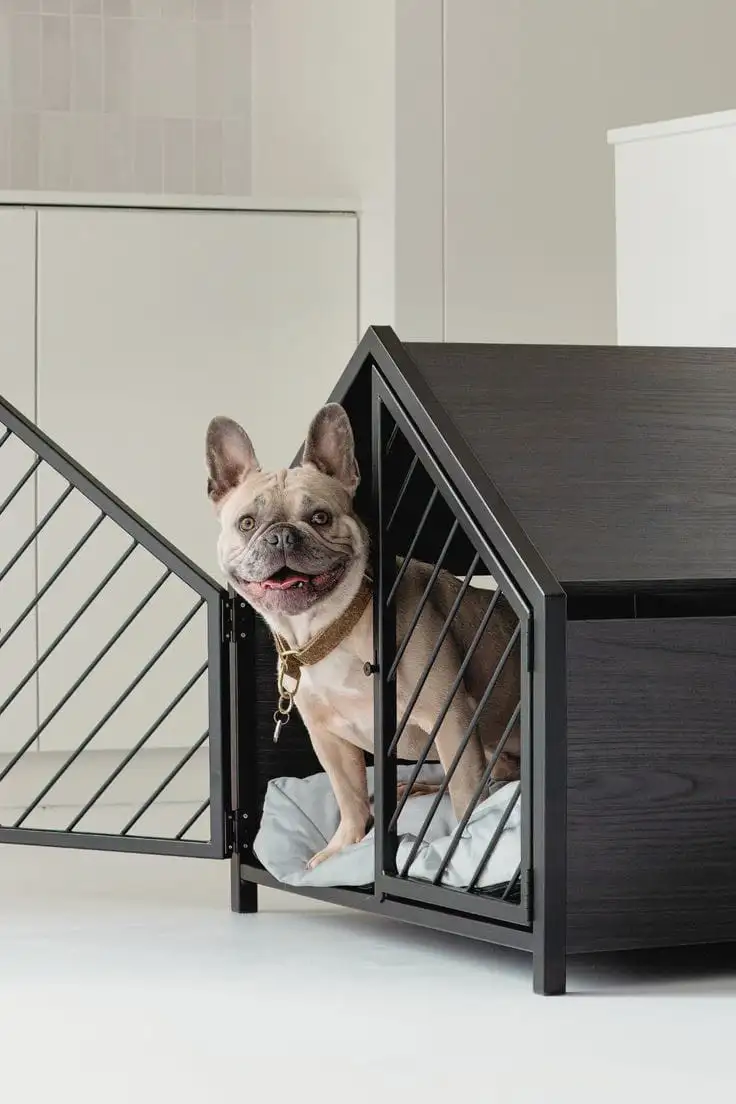 منزل حيوانات مصنوع من معدن دهان الكتروستاتيك وقماش وخشب كونتر طبيعي عالي الجودة MS-13226