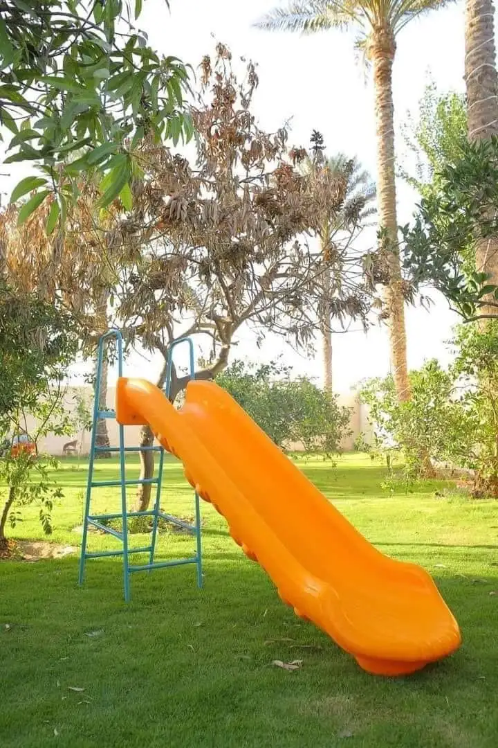 Slide with Ladder made of Pure High-Quality Plastic MS-9934
